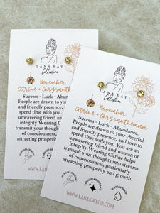Birthstone Waterproof Earrings (Studs)