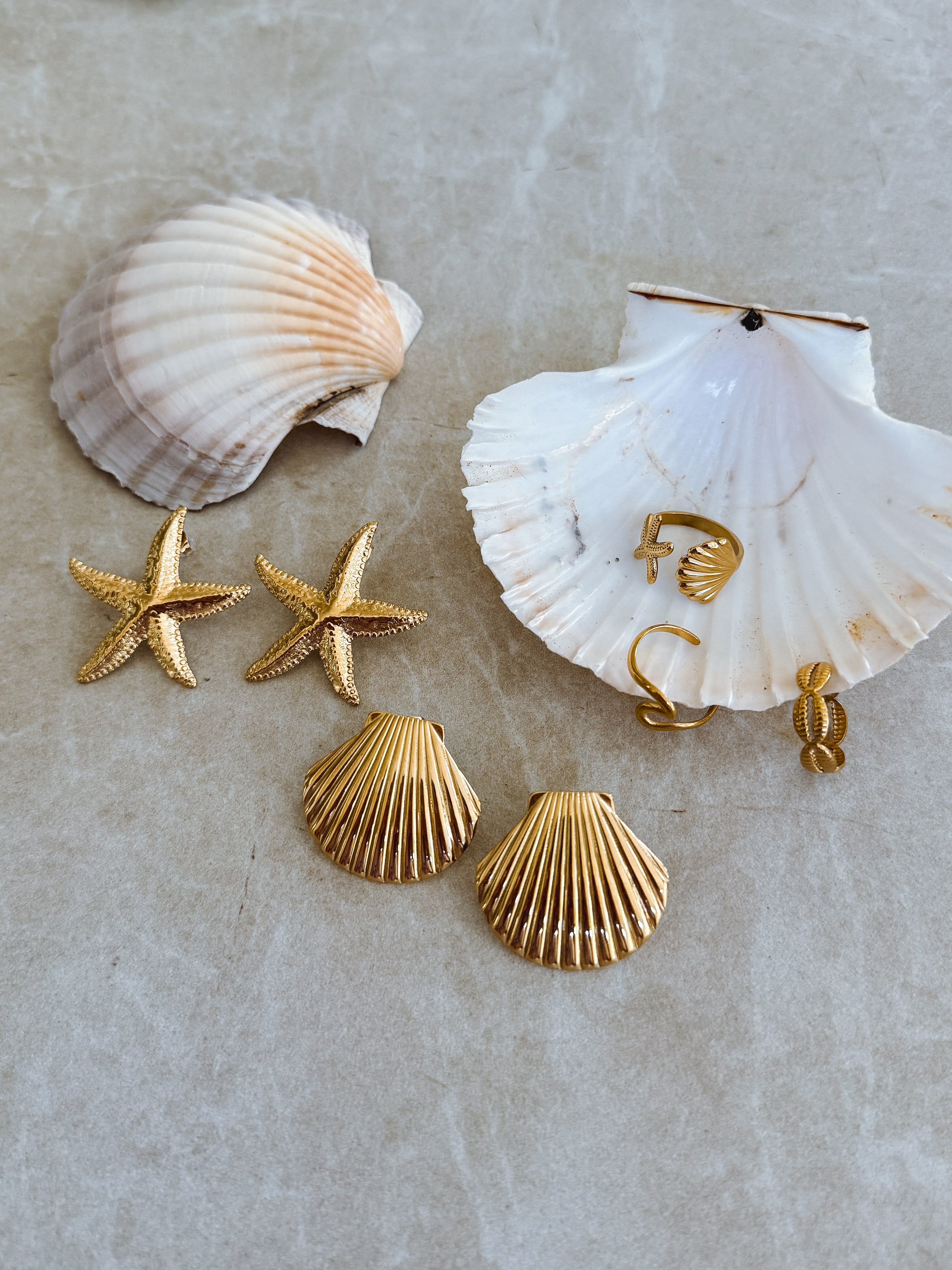 Ocean Seashell - Waterproof Statement Earrings